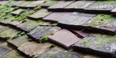 Bedwellty roof repair costs